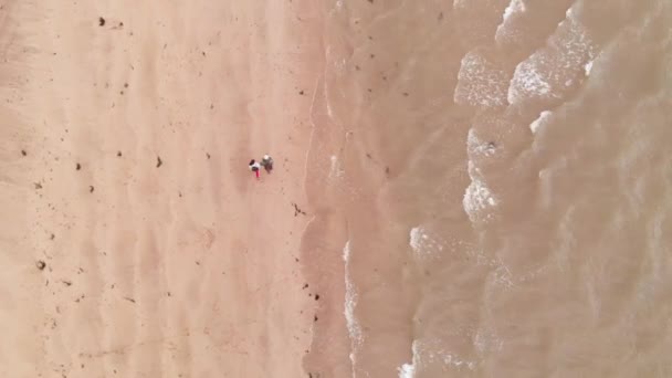 Luftaufnahme Eines Sandstrandes Mit Anonymen Personen Die Sich Der Nähe — Stockvideo