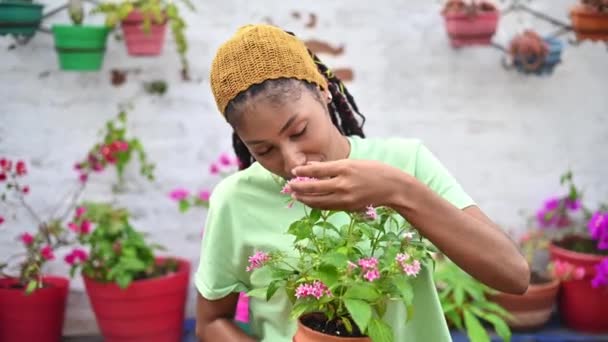 Entzückte Afroamerikanische Gärtnerin Genießt Den Duft Der Pentas Lanceolata Blume — Stockvideo