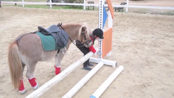 Bambino Casco Piedi Vicino Sellato Pony Assemblaggio Ostacolo Durante Allenamento — Video Stock