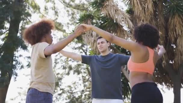 在公园一起练习瑜伽时 手持拍摄到一群身披运动服 泰然自若的年轻多种族朋友围在一起举手投足 — 图库视频影像