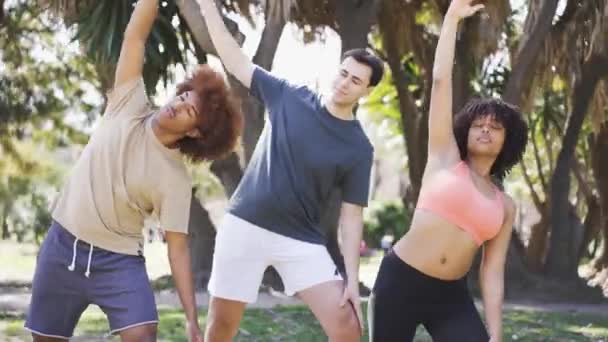 Jonge Multiraciale Vrienden Sportkleding Doen Side Bend Stretch Oefening Met — Stockvideo