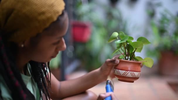 Closeup Beauty African Woman Decorating Pot Small Plant Closeup — Stock Video