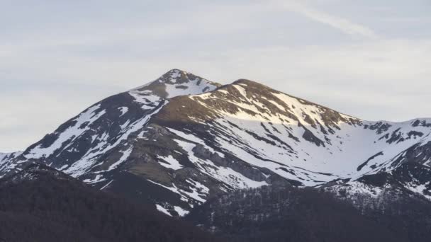 스페인에서 고르지 표면을 피코스 유로파 산맥에 위치한 조밀한 나무와 화려한 — 비디오