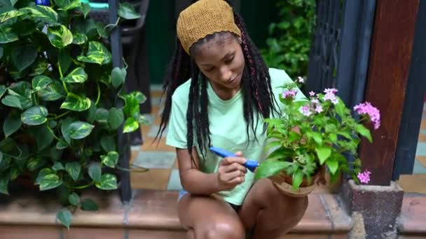 Szoros Szépség Afrikai Díszítő Pot Kis Növény Közelkép — Stock videók