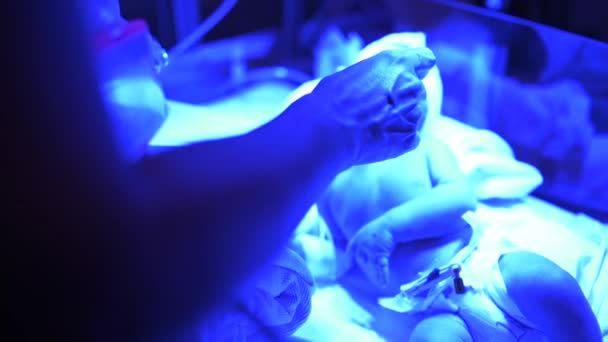 医务工作者在医院工作时用现代孵化器内的管子喂养早产儿 — 图库视频影像