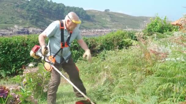 Orang Tua Bertopeng Perisai Pelindung Memotong Rumput Halaman Belakang Dengan — Stok Video