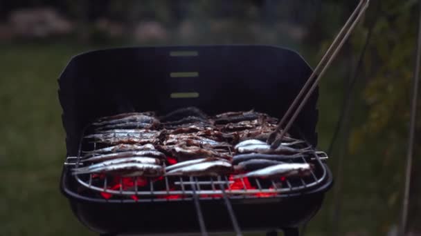 Cuisson Rôtissage Poisson Mariné Sur Barbecue Thunnini Grillé Sur Charbon — Video