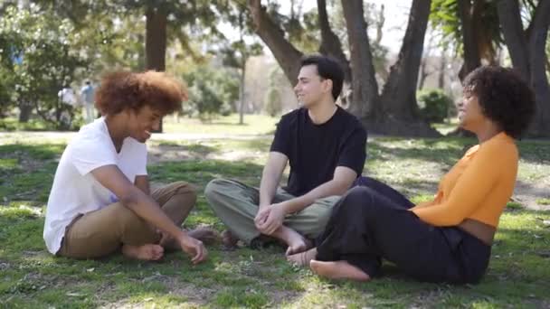 ハンドヘルドは 十字の足で芝生に座って 公園で一緒に時間を過ごしながらお互いを見ているカジュアルな服で笑顔の若い多人種間の友人の全身を撮影しました — ストック動画