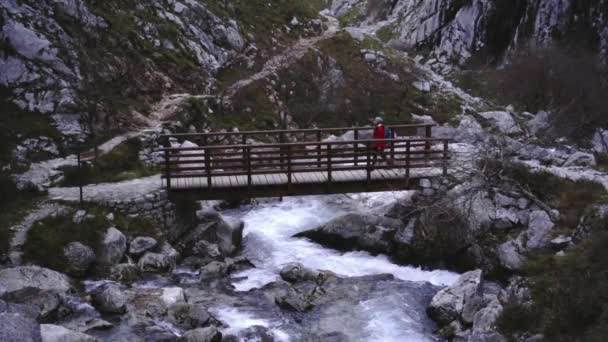 Aktivtourist Mit Rucksack Wandert Auf Brücke Über Gebirgsfluss — Stockvideo