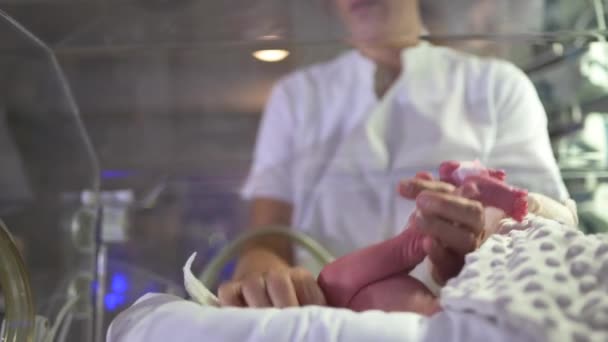 Pielęgniarka Upraw Trzymająca Małą Stopę Chorego Maleństwa Leżącego Inkubatorze Niemowląt — Wideo stockowe