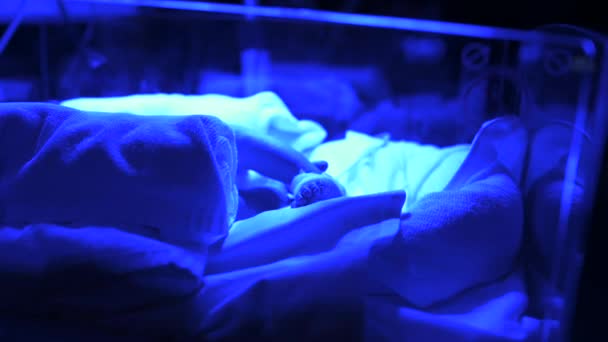 紫外光照射下新生儿重症监护病房婴幼儿孵化器病儿侧视 — 图库视频影像