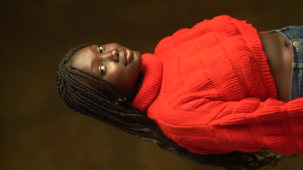 Porträtt Leende Ung Afroamerikansk Kvinna Med Afro Flätor Röd Virkad — Stockvideo