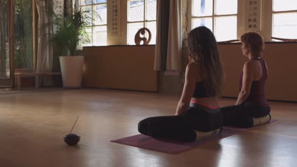 Spor Kıyafetleri Içindeki Arkadaşlar Birlikte Yoga Yapıyorlar — Stok video