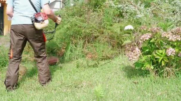 Cultivo Anciano Hombre Segando Hierba Patio Trasero Con Cortacésped — Vídeo de stock