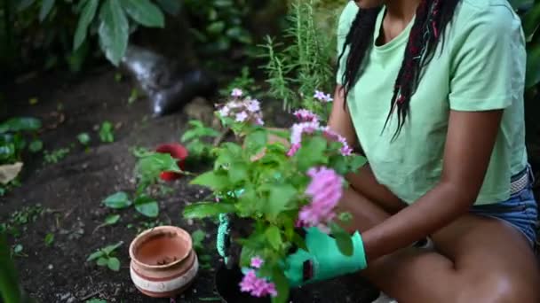 戴着手套在温室里重新种花的非洲裔美国女园丁 — 图库视频影像