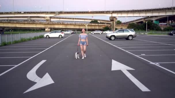 Footage Beautiful Young Woman Walking Her Dog — Stock Video