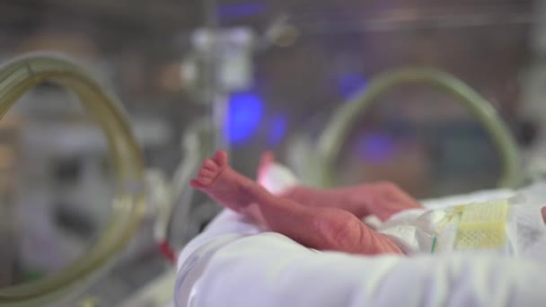 Medical Worker Feeding Premature Baby Tubes Attached Modern Incubator While — Stock Video