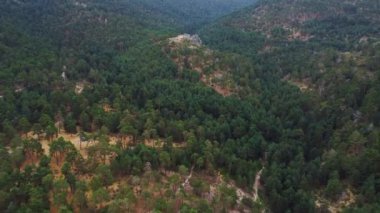 Dağ ormanlarında yetişen yemyeşil ağaçların insansız hava aracı görüntüsü.