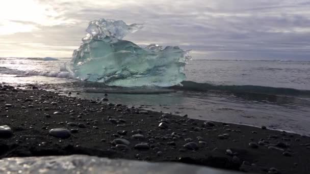 冰岛潮湿海岸上被海水冲刷的透明冰块 — 图库视频影像