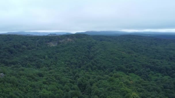 田舎の山岳地帯で育つ緑豊かな木のドローン空中ビュー — ストック動画