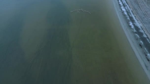 Spanya Daki Durgun Göl Yüzeyinde Uçan Beyaz Kuş Sürüsünün Drone — Stok video