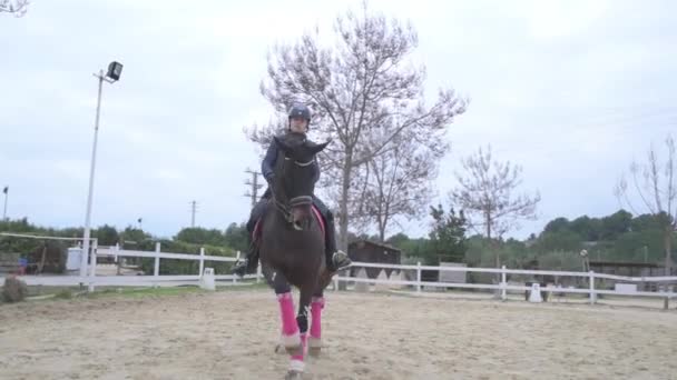Jong Meisje Rijdt Haar Paard — Stockvideo