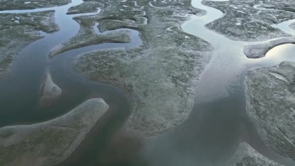 Fra Oven Drone Udsigt Frodige Grønne Skov Med Flodmunding Vådområder – Stock-video