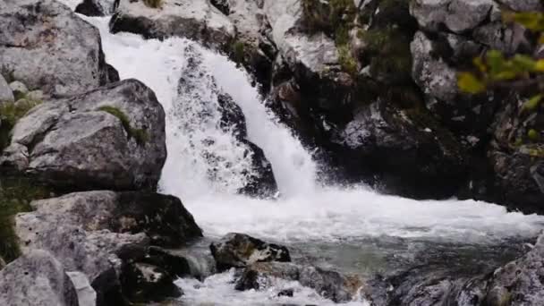 Fluxo Água Espumosa Fluindo Entre Pedras Rochosas — Vídeo de Stock