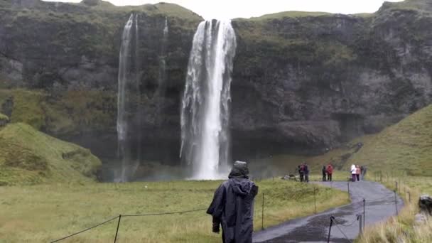 Yağmurlu Zlanda Yağmurlu Bir Günde Seljalandsfoss Şelalesi Giden Yolda Yürüyen — Stok video