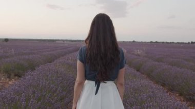 Romantik kıyafetli kaygısız bir kadının kırsal kesimde günbatımında narin lavanta çiçekleriyle çiçek açarak yürüdüğünü görüyorum.