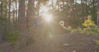 Olgun bir adamın gündelik giysiler içinde harita ve yürüyüş sopasıyla gündüz vakti yeşil ormanlık alanda yürüyüş yaparken görüntüsü.