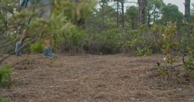 Sırt çantalı ve bastonlu çiftçi gündüz vakti yeşil ormanlık alanda yürüyüş yapıyor.