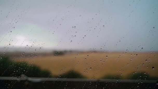 Blurred Meadow Countryside Overcast Sky Glass Raindrops Rainy Day — Video Stock