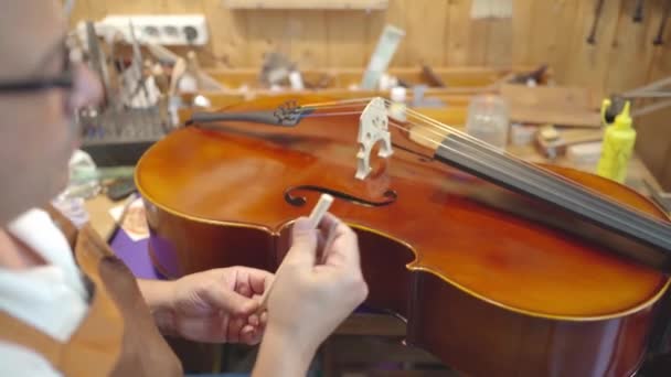 Craftsman Setting Sound Post While Building String Instrument Workshop — Stockvideo
