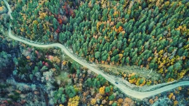 アスファルト道路の息をのむような風景は ヘスカの山の斜面で成長するカラフルな木と緑豊かな秋の森を通り抜けます — ストック動画