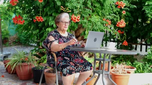 Señora Mayor Traje Casual Anteojos Sentados Mesa Mientras Usa Netbook — Vídeo de stock