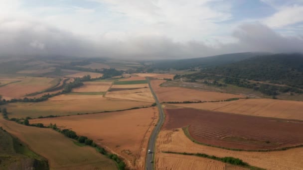 Spectacular View Plantations Narrow Roads Mounts Sky Spain — 图库视频影像