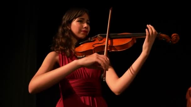 小提琴手在黑暗中演奏 女孩的小提琴特写 — 图库视频影像