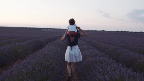 带着小孩儿 背着紫色薰衣草花 走在开满花朵的田野里 欣赏日落的背影 — 图库视频影像