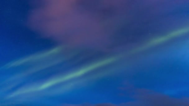 Dołu Spektakularne Krajobrazy Zieleni Północne Światła Oświetlające Ciemne Gwiaździste Niebo — Wideo stockowe