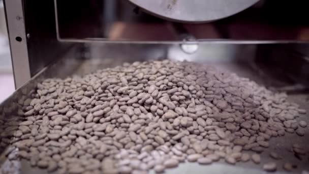 Ramo Granos Cacao Tostados Tambor Máquina Tostado Durante Trabajo Cafetería — Vídeos de Stock