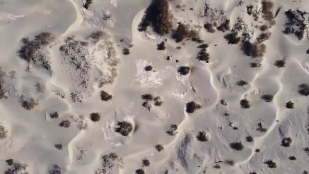 Luftaufnahme Von Pflanzen Die Sonnigen Tagen Auf Sanddünen Death Valley — Stockvideo