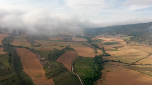 Spectacular View Plantations Narrow Roads Mounts Sky Spain — Stockvideo