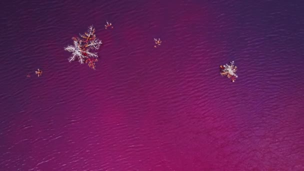 Impresionante Vista Drones Coloridos Ríos Terrenos Arenosos Parque Minero Ubicado — Vídeos de Stock