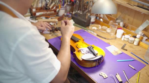 Side View Crop Male Artisan Master Setting Violin Bow Restoration — Vídeo de Stock