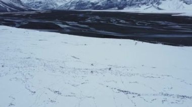 İzlanda 'nın bulutlu kış gününde kar dağlarında otlayan ren geyiği sürüsünün drone görüntüsü