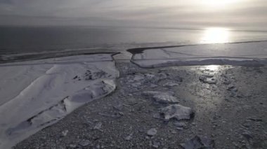 Güçlü okyanus manzarası köpüklü dalgalar, İzlanda 'nın karlı arazisinin yakınında siyah kumla kaplı plajda süzülüyor.