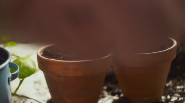 Tanımlanamayan kadın bahçıvanın güpegündüz bitki naklederken çömleğe verimli toprak ekleyip sıkıştırdığı yumuşak bir odak.