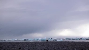 İzlanda 'da buzlu deniz kıyıları