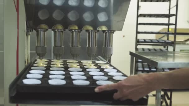 Przycięte Nierozpoznawalne Dłonie Piekarza Trzymające Tacę Automatycznej Przemysłowej Maszynie Napełniania — Wideo stockowe